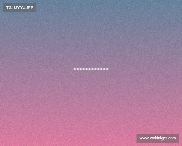 拳击大赛巨额奖金震撼来袭全球拳手激烈争夺荣耀之战